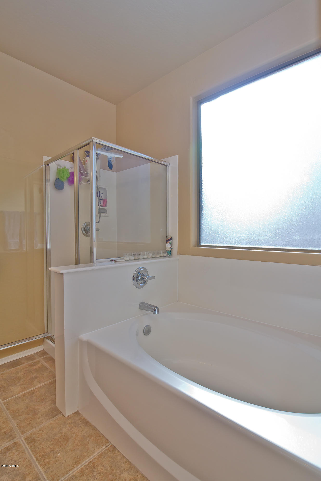 9439 West Heber Road Tolleson, AZ 85353 - Photo 14 of 23 master tub and shower