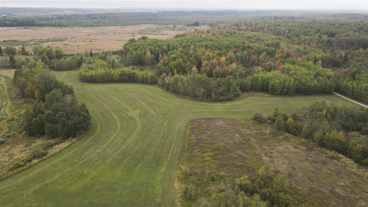11048 Wilson Road Lake City, MI 49651 - Photo 1 of 89 Gallery Image 1
