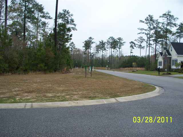 Lot 78 Gray Moss Road Murrells Inlet, SC 29576 - Photo 3 of 7 Gallery Image 3