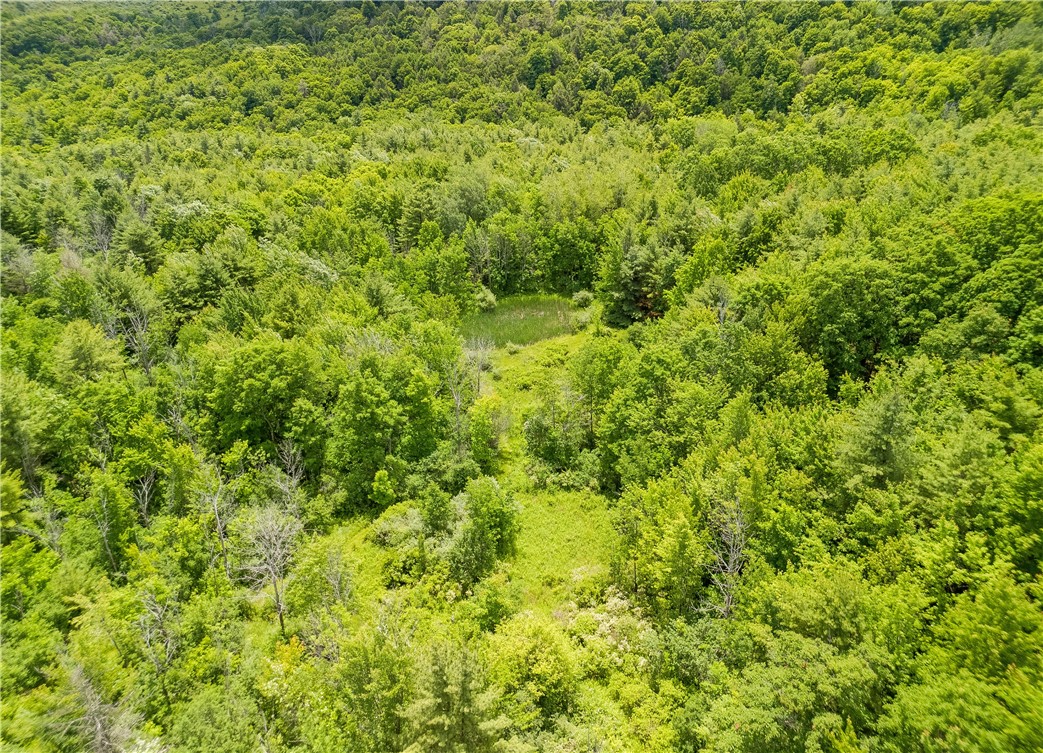 1970 Hornby Road Orange, NY 14812 - Photo 18 of 38