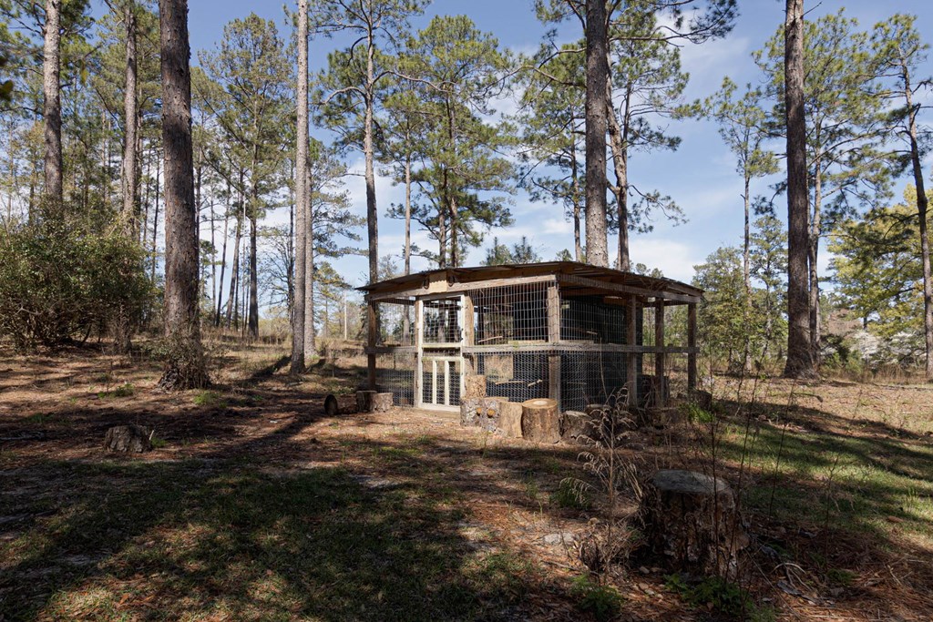 287 Sunny View Road Lumpkin, GA 31815 - Photo 41 of 54 Gallery Image 41