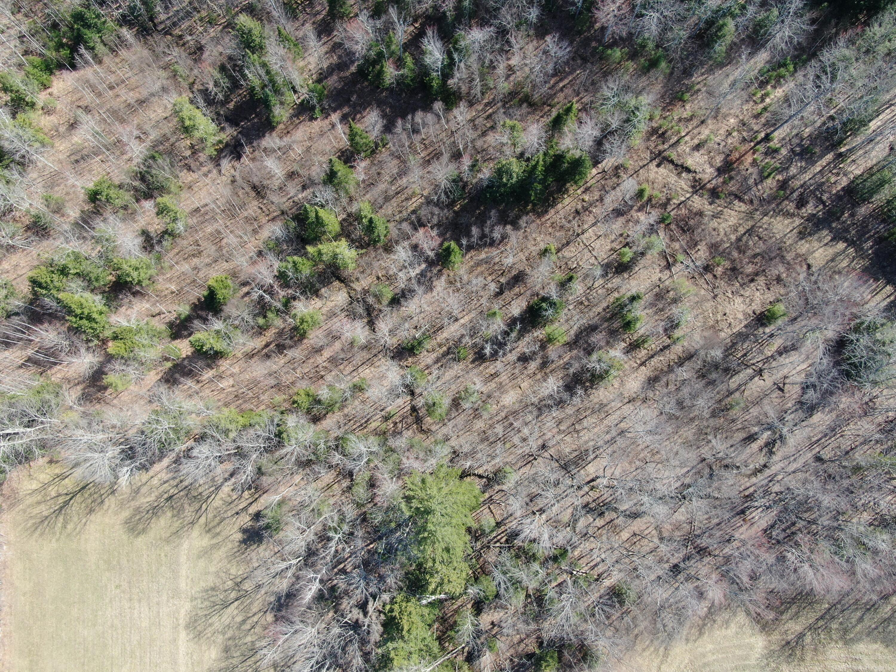 0 NORTH Rd Mount Mount Vernon, ME 04352 - Photo 3 of 12 DJI_0054