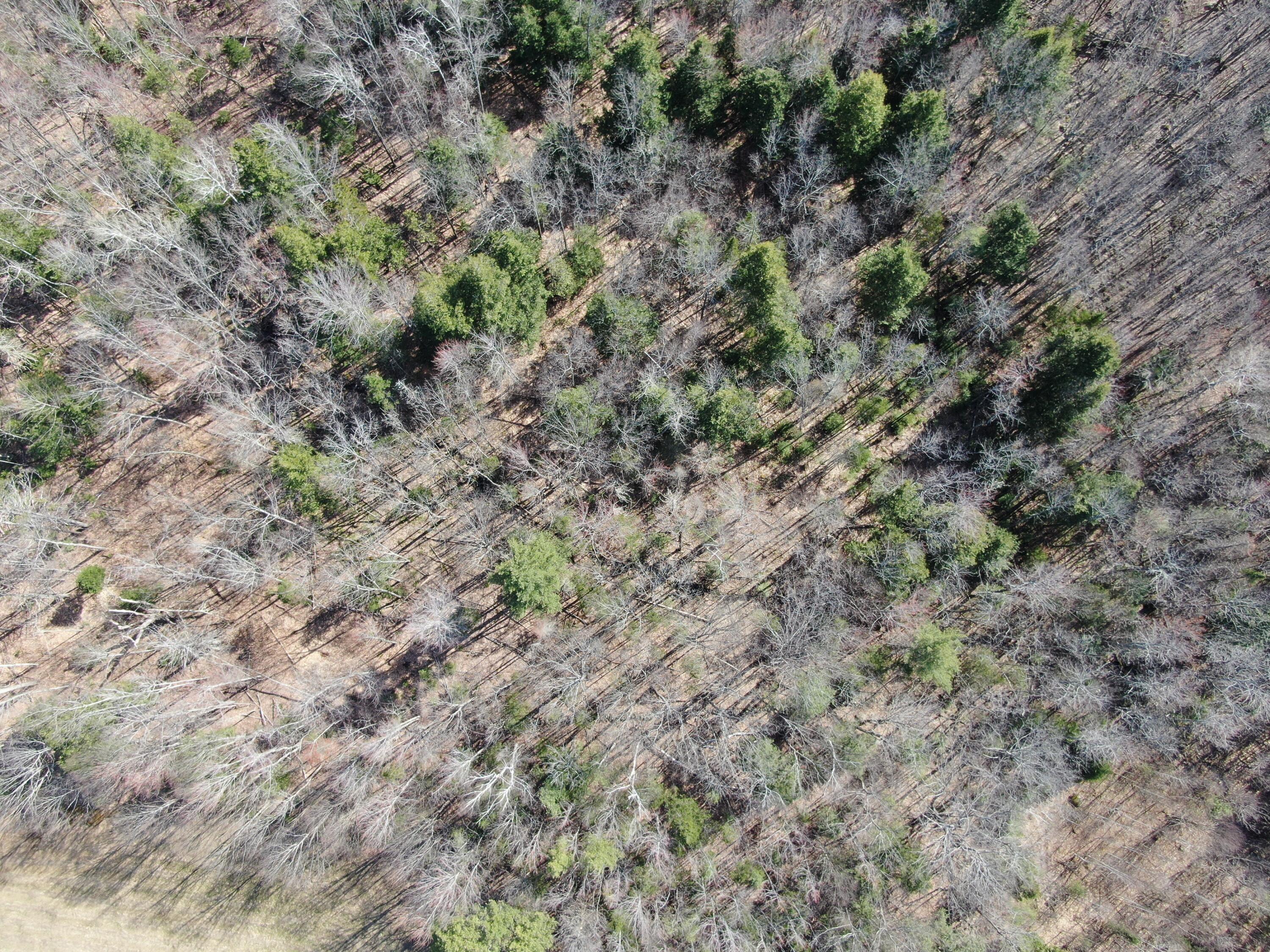 0 NORTH Rd Mount Mount Vernon, ME 04352 - Photo 6 of 12 DJI_0057