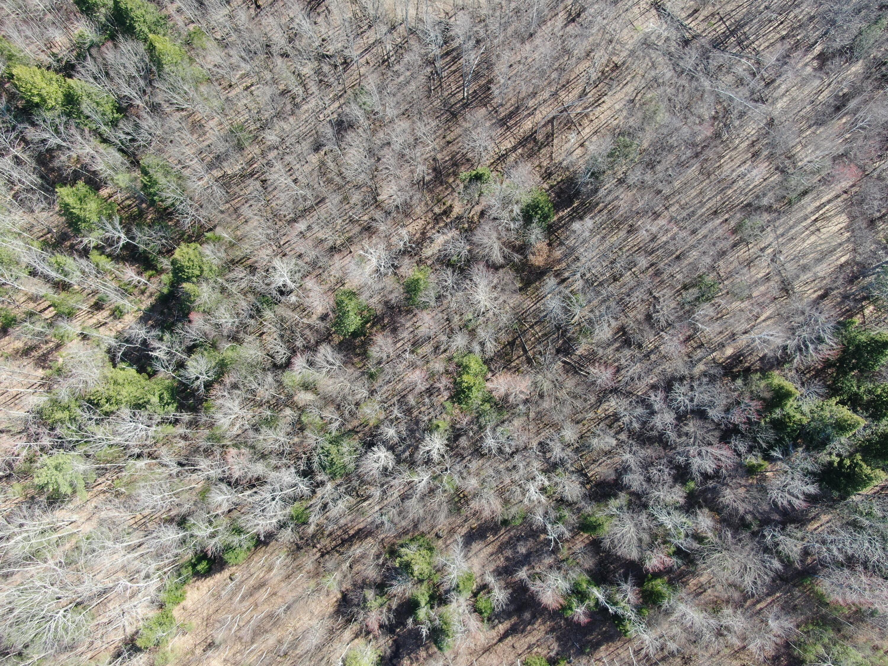 0 NORTH Rd Mount Mount Vernon, ME 04352 - Photo 7 of 12 DJI_0058