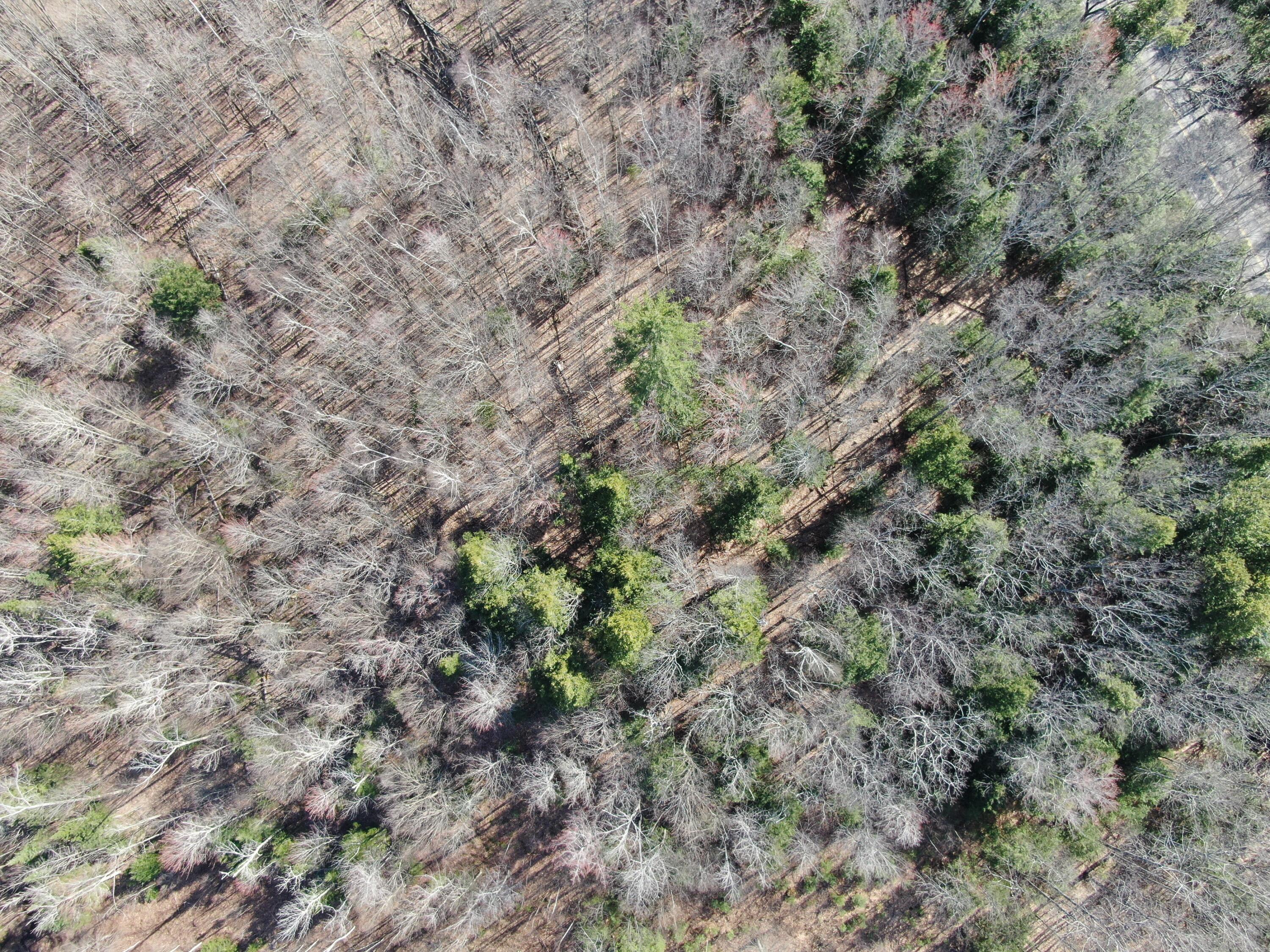 0 NORTH Rd Mount Mount Vernon, ME 04352 - Photo 8 of 12 DJI_0059