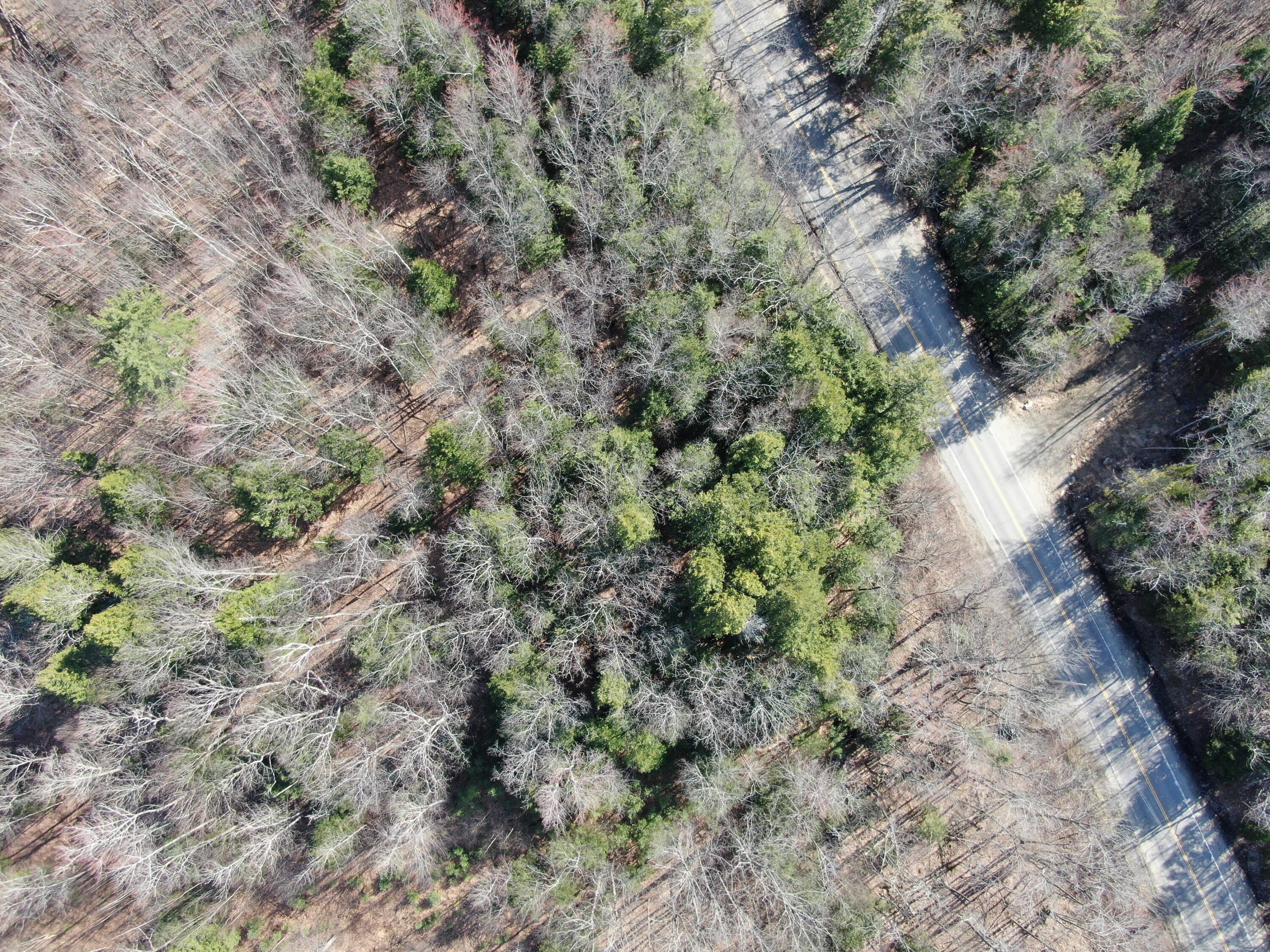 0 NORTH Rd Mount Mount Vernon, ME 04352 - Photo 9 of 12 DJI_0060