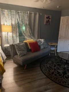 a living room with furniture and a rug