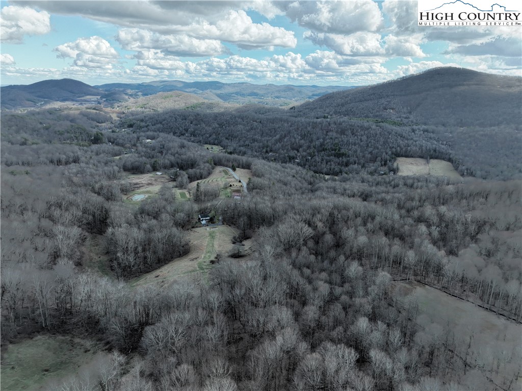 Lot 65 Poplar Forest Drive Boone, NC 28607 - Photo 11 of 37 a view of a dry yard with trees