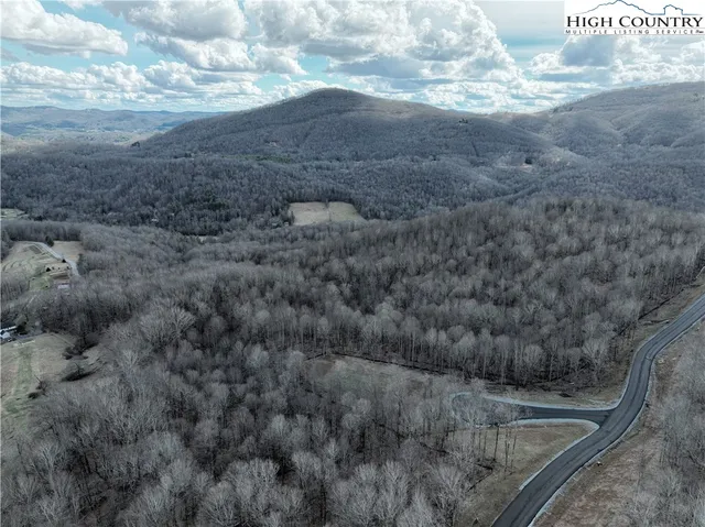 a view of a dry yard