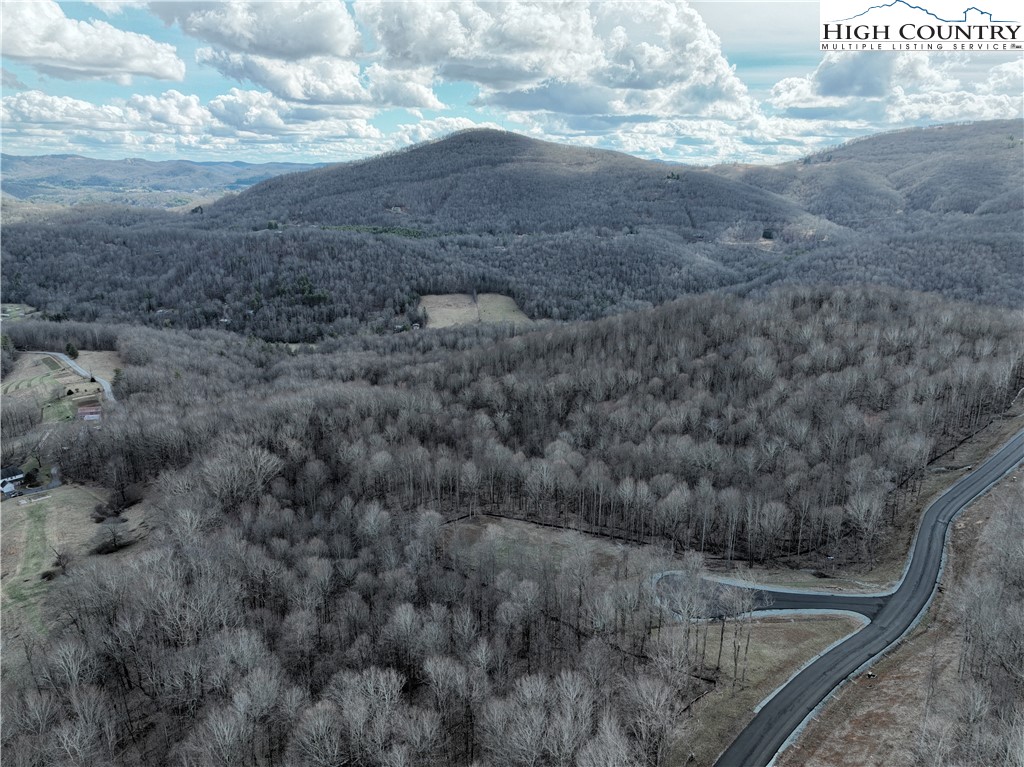 Lot 65 Poplar Forest Drive Boone, NC 28607 - Photo 12 of 37 a view of a dry yard