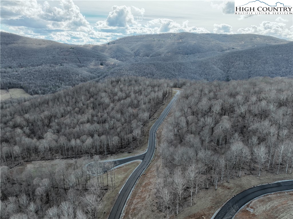 Lot 65 Poplar Forest Drive Boone, NC 28607 - Photo 13 of 37 a view of a dry yard