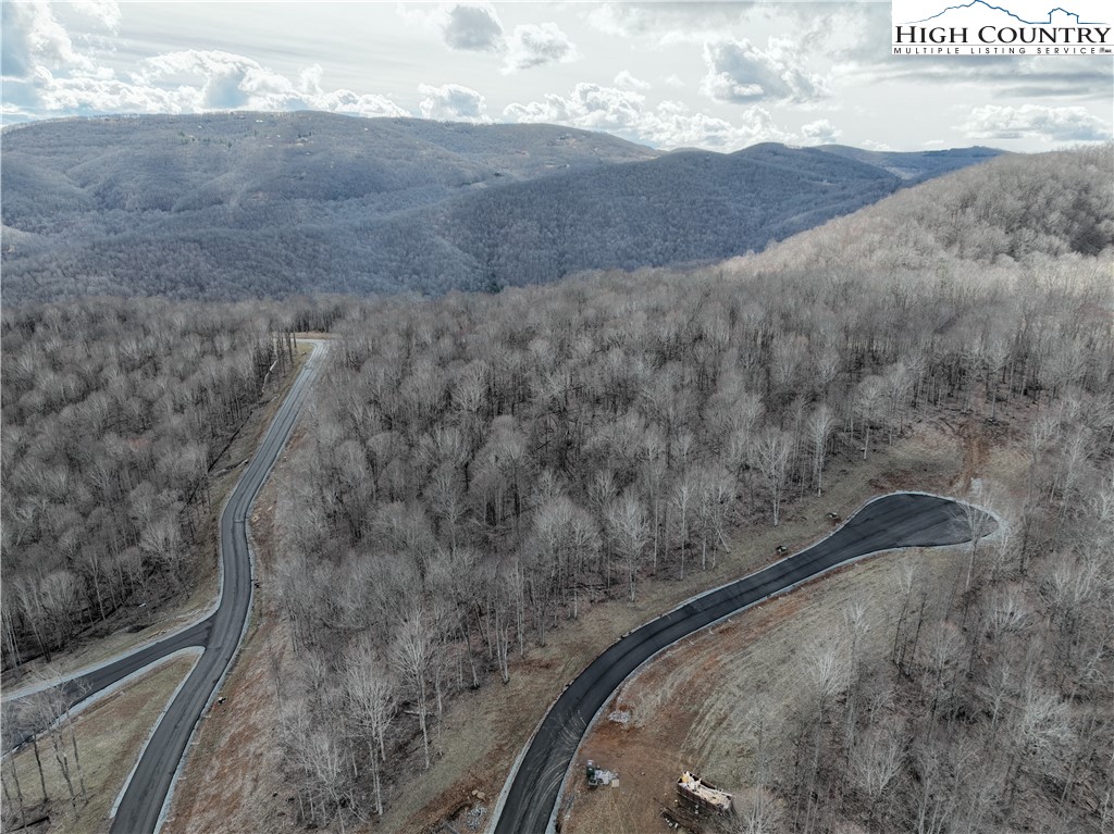 Lot 65 Poplar Forest Drive Boone, NC 28607 - Photo 14 of 37