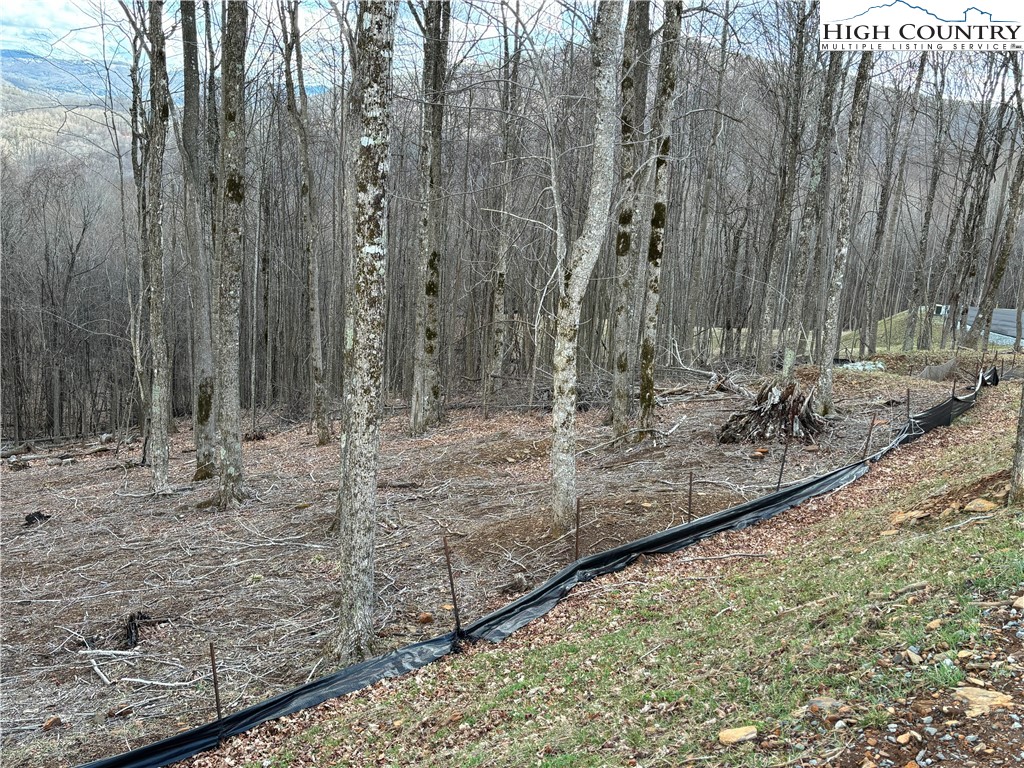 Lot 65 Poplar Forest Drive Boone, NC 28607 - Photo 20 of 37 a view of a yard with trees
