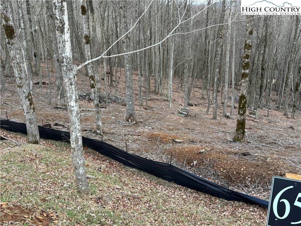 Lot 65 Poplar Forest Drive Boone, NC 28607 - Photo 21 of 37 a view of wooden floor with a bench in the background