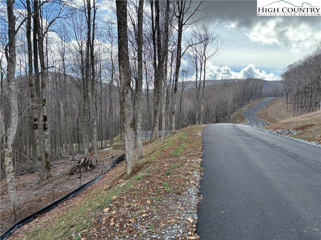 Lot 65 Poplar Forest Drive Boone, NC 28607 - Photo 24 of 37 a view of a backyard