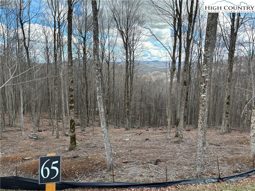 Lot 65 Poplar Forest Drive Boone, NC 28607 - Photo 26 of 37 a view of outdoor space with trees