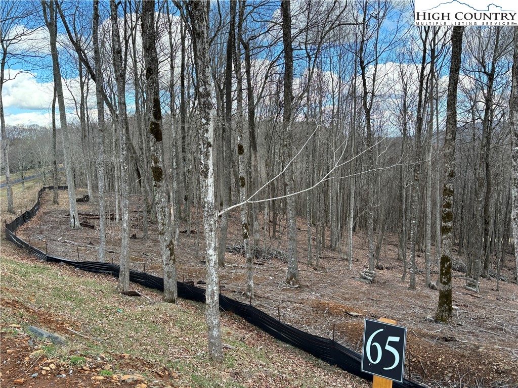 Lot 65 Poplar Forest Drive Boone, NC 28607 - Photo 27 of 37 a view of outdoor space with utility