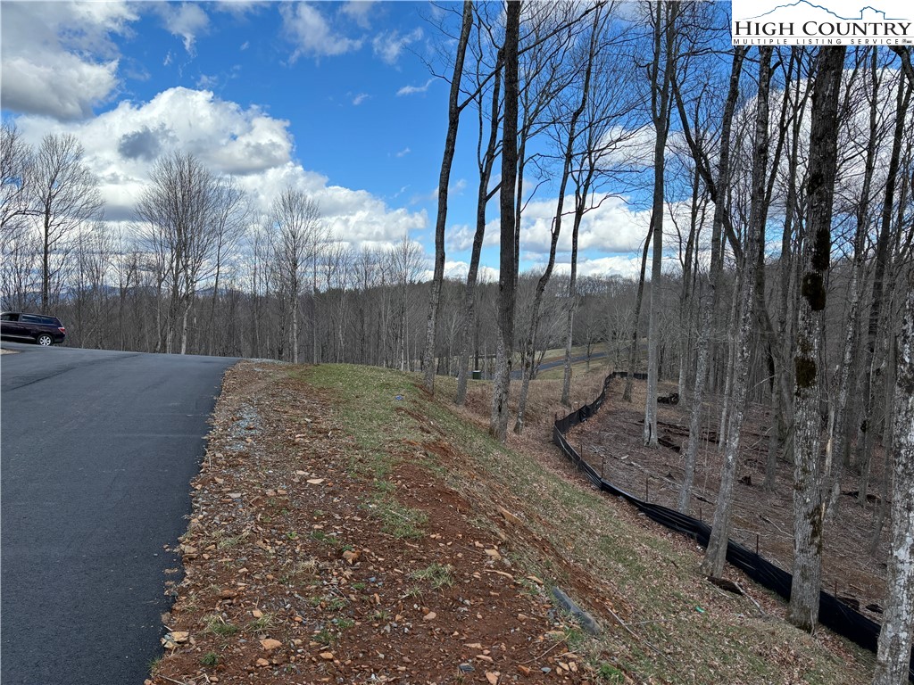 Lot 65 Poplar Forest Drive Boone, NC 28607 - Photo 28 of 37 a view of a backyard