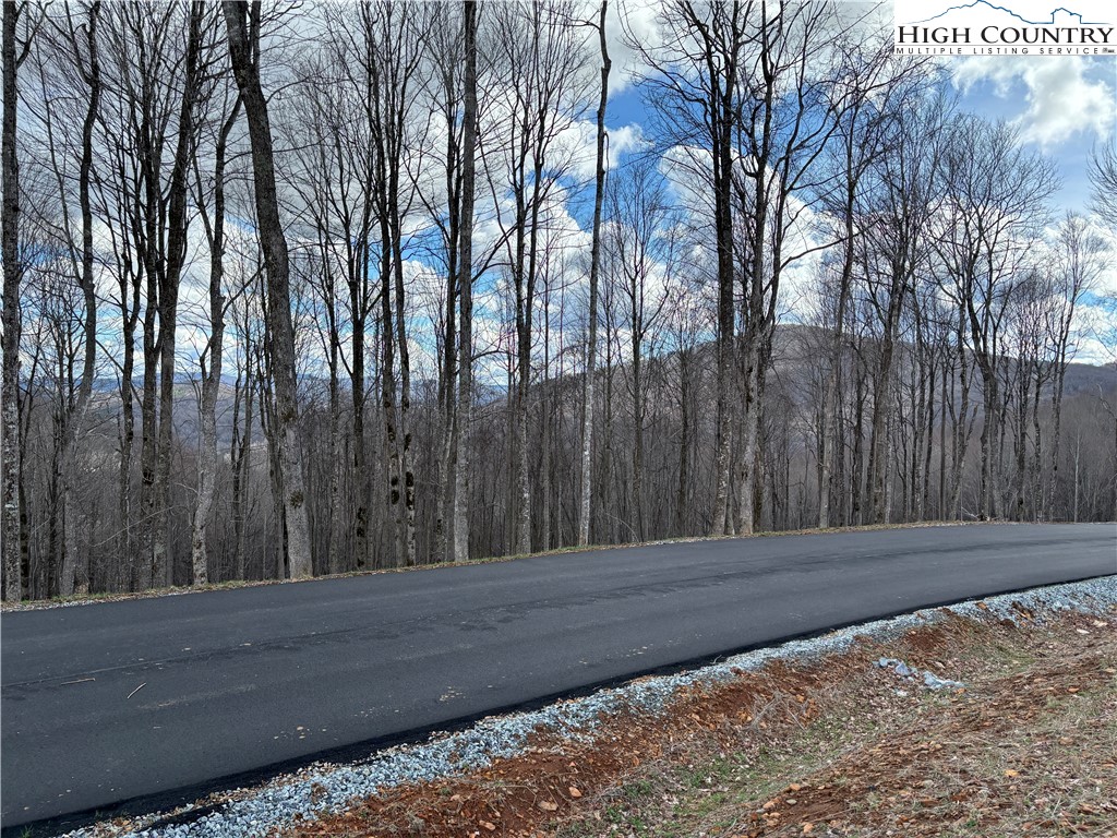 Lot 65 Poplar Forest Drive Boone, NC 28607 - Photo 32 of 37 a view of a backyard