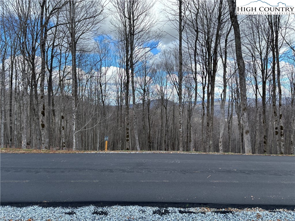 Lot 65 Poplar Forest Drive Boone, NC 28607 - Photo 33 of 37 a view of a park
