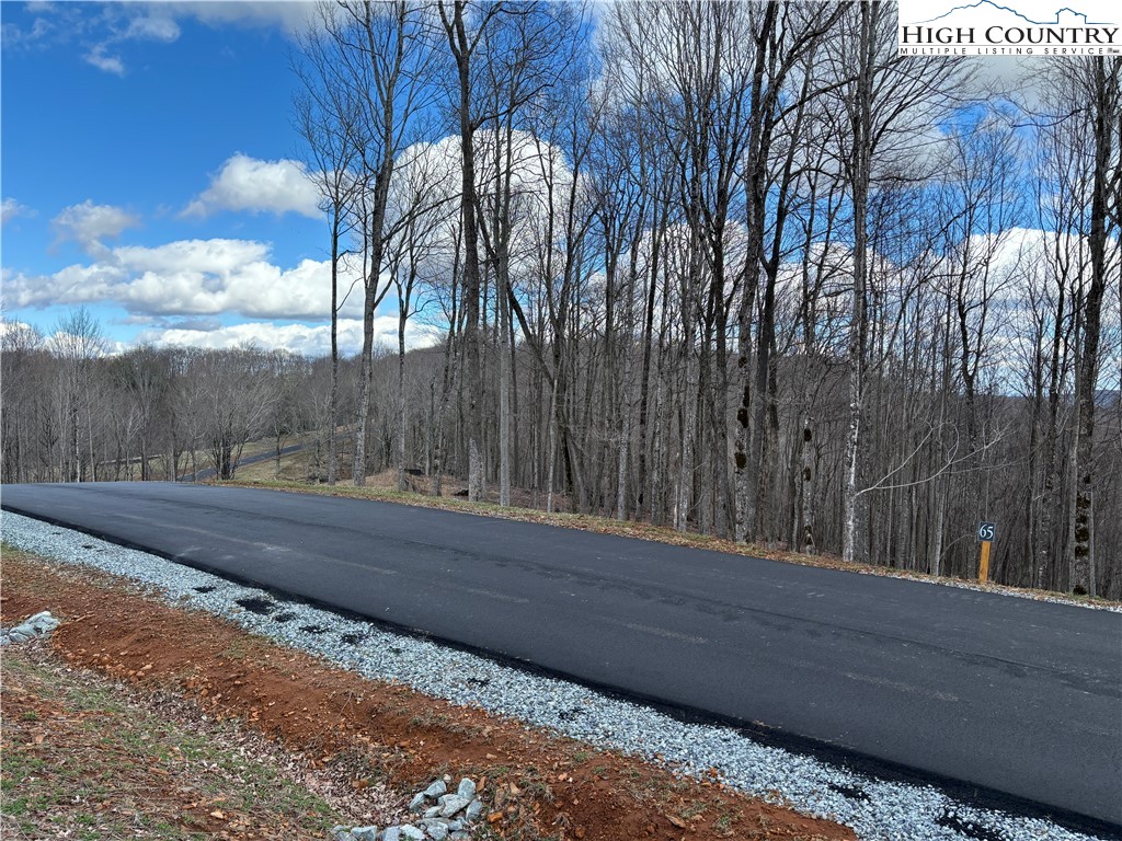 Lot 65 Poplar Forest Drive Boone, NC 28607 - Photo 34 of 37 a view of a backyard