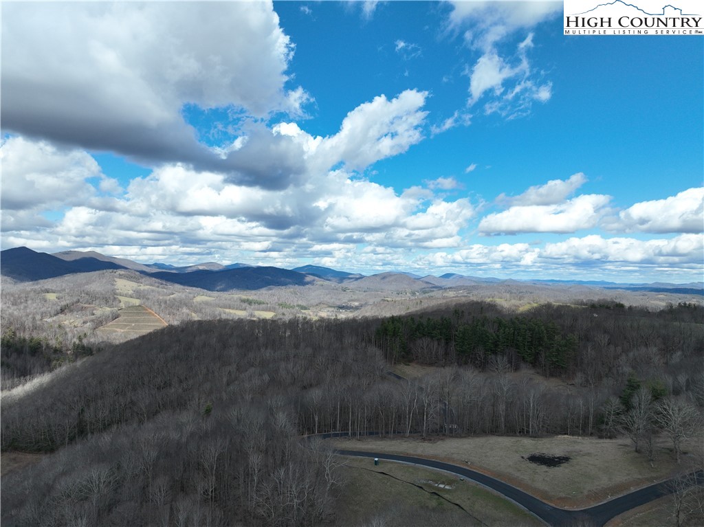 Lot 65 Poplar Forest Drive Boone, NC 28607 - Photo 4 of 37 a view of a yard