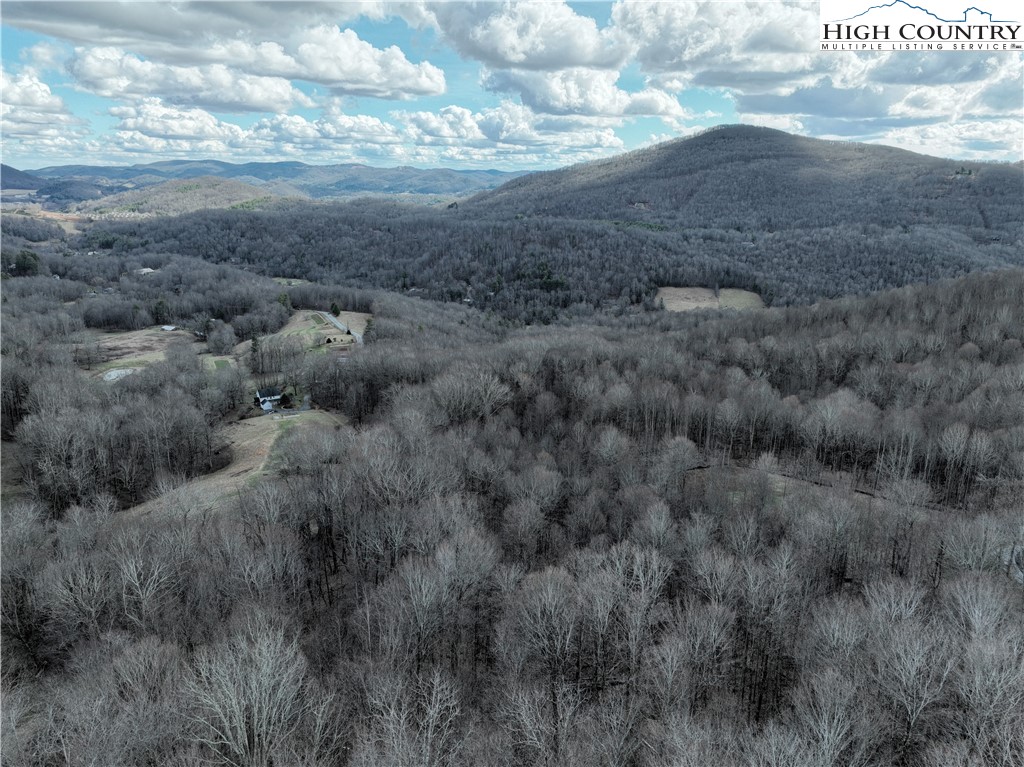 Lot 65 Poplar Forest Drive Boone, NC 28607 - Photo 6 of 37 a view of a dry yard