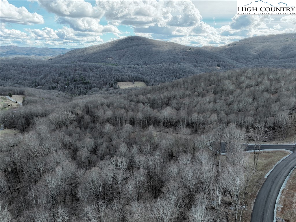 Lot 65 Poplar Forest Drive Boone, NC 28607 - Photo 7 of 37 a view of a dry yard