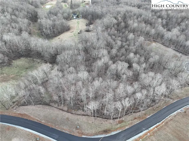 a view of a dry yard