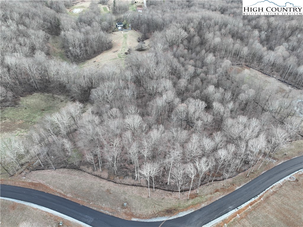 Lot 65 Poplar Forest Drive Boone, NC 28607 - Photo 8 of 37 a view of a wooden floor