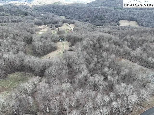 a view of a dry yard