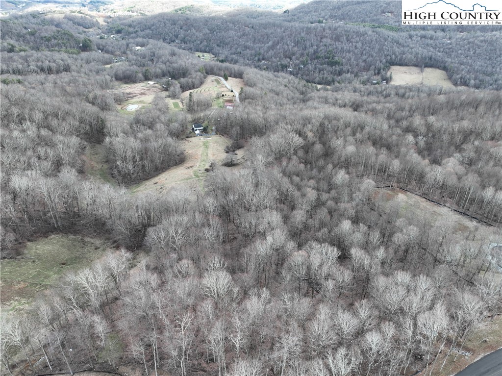 Lot 65 Poplar Forest Drive Boone, NC 28607 - Photo 9 of 37 a view of a dry yard