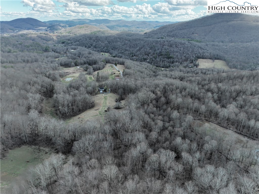 Lot 65 Poplar Forest Drive Boone, NC 28607 - Photo 10 of 37 a view of a dry yard