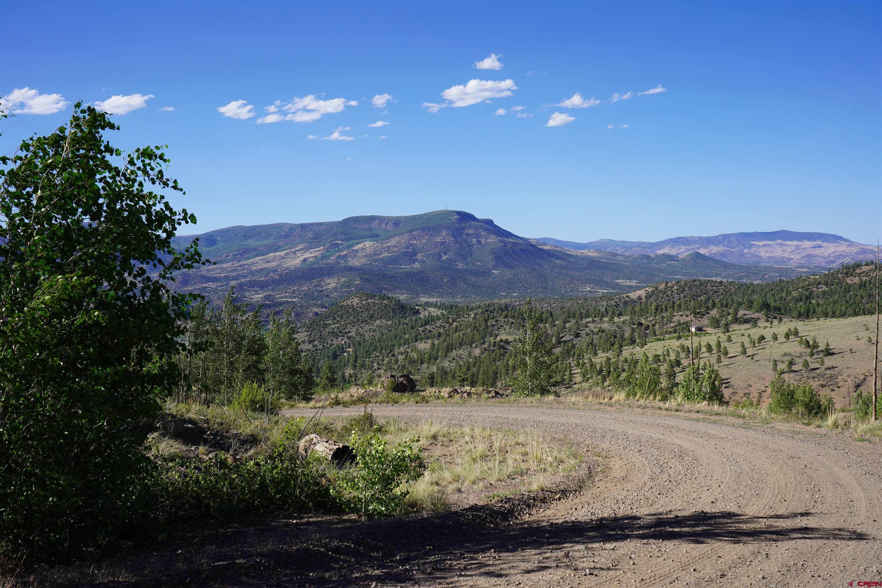 852 Forest Cir Fork South Fork, CO 81154 - Photo 3 of 7 a view of a lush green outdoor space with mountain view