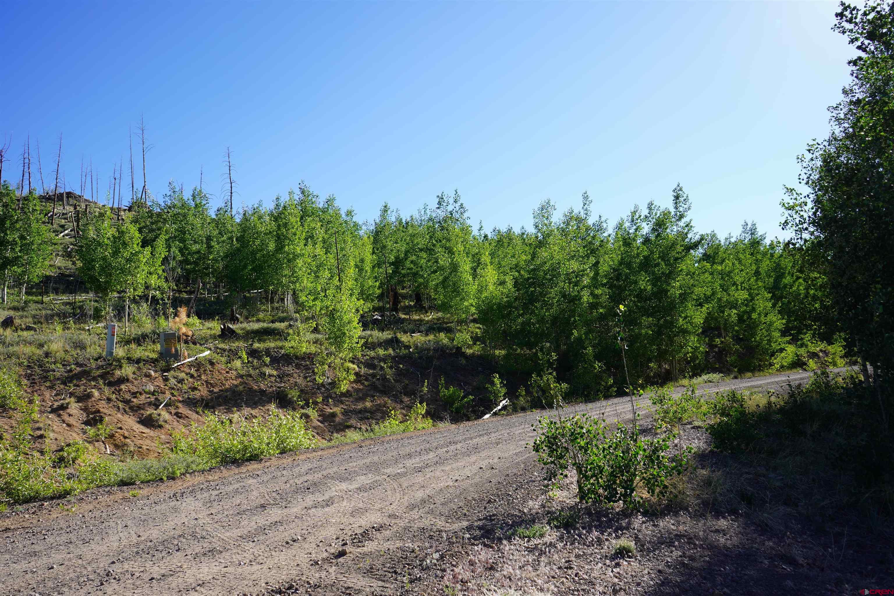 852 Forest Cir Fork South Fork, CO 81154 - Photo 4 of 7 a backyard of a house with lots of green space