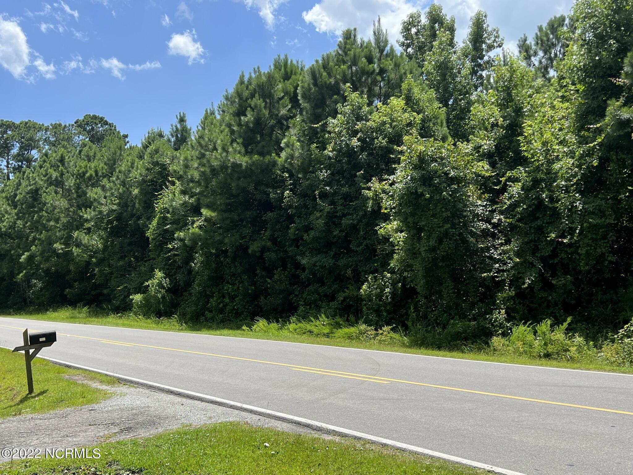 251 Swansboro Loop Road Swansboro, NC 28584 - Photo 3 of 6 Looking South toward Swansboro