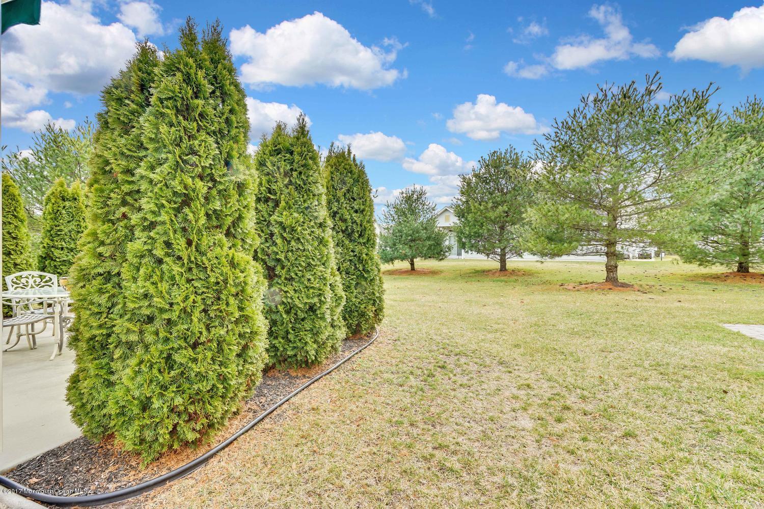 4 Pancoast Road Waretown, NJ 08758 - Photo 4 of 31 BACKYARD