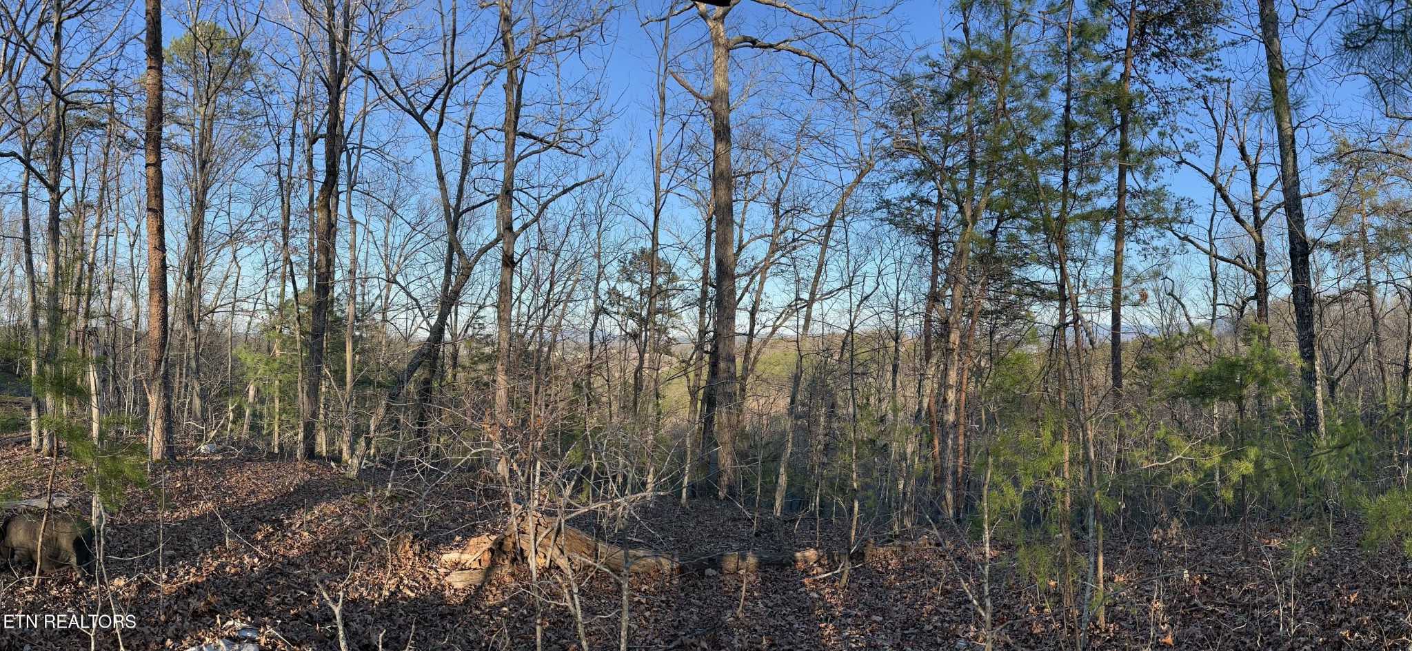0 Henderson Springs Road Sevierville, TN 37863 - Photo 11 of 14 a view of forest