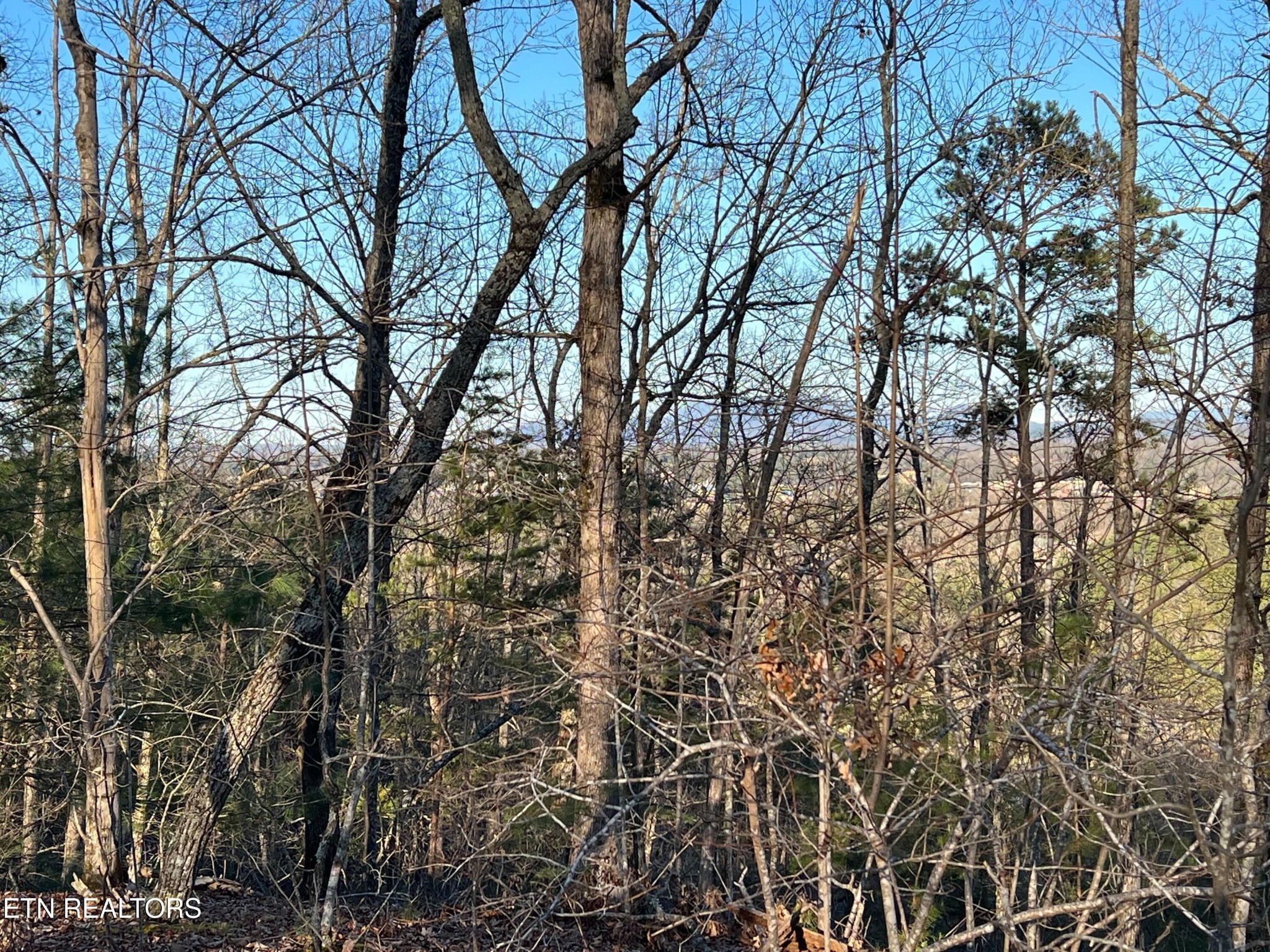 0 Henderson Springs Road Sevierville, TN 37863 - Photo 2 of 14 a view of tree