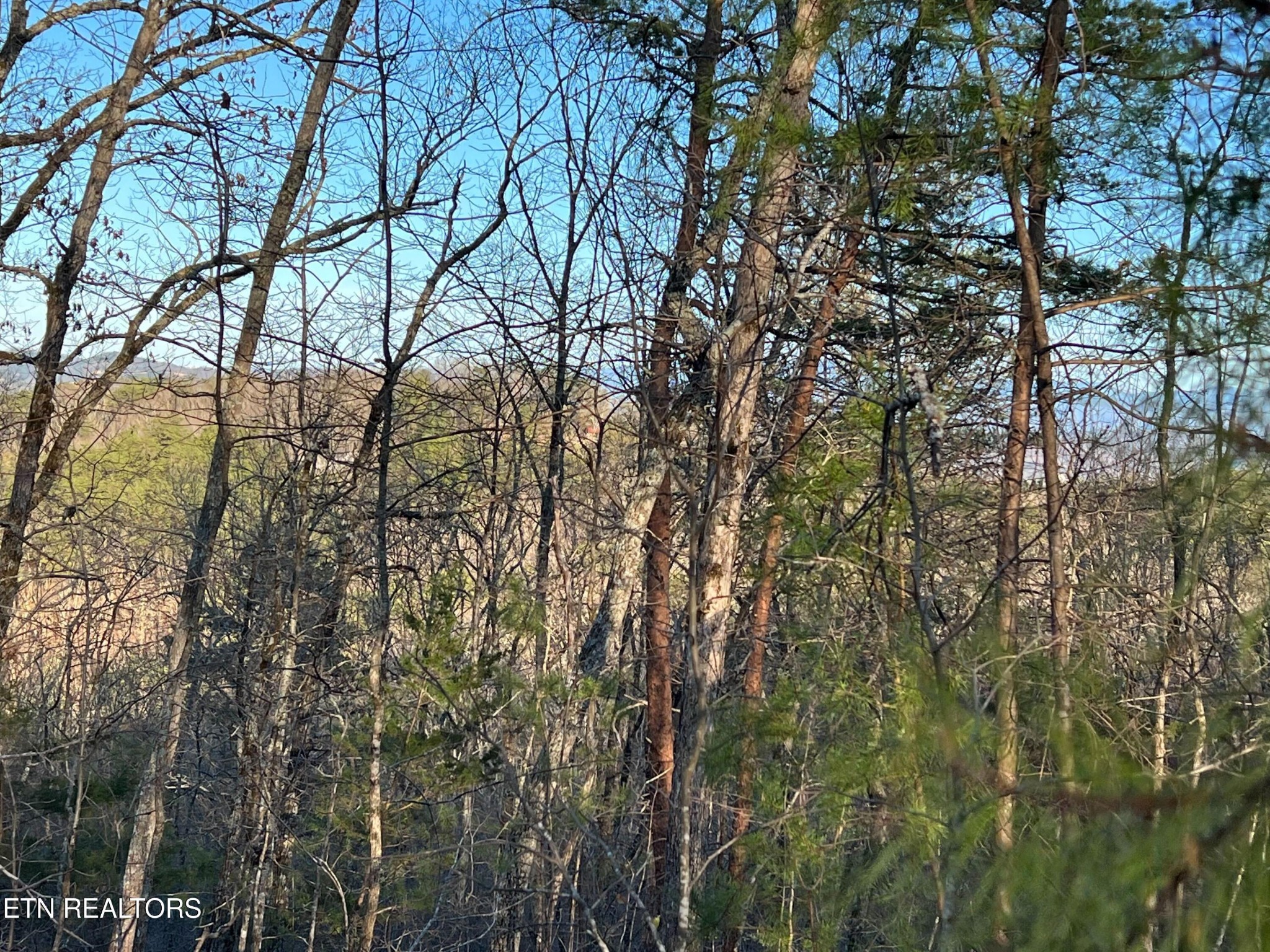 0 Henderson Springs Road Sevierville, TN 37863 - Photo 3 of 14