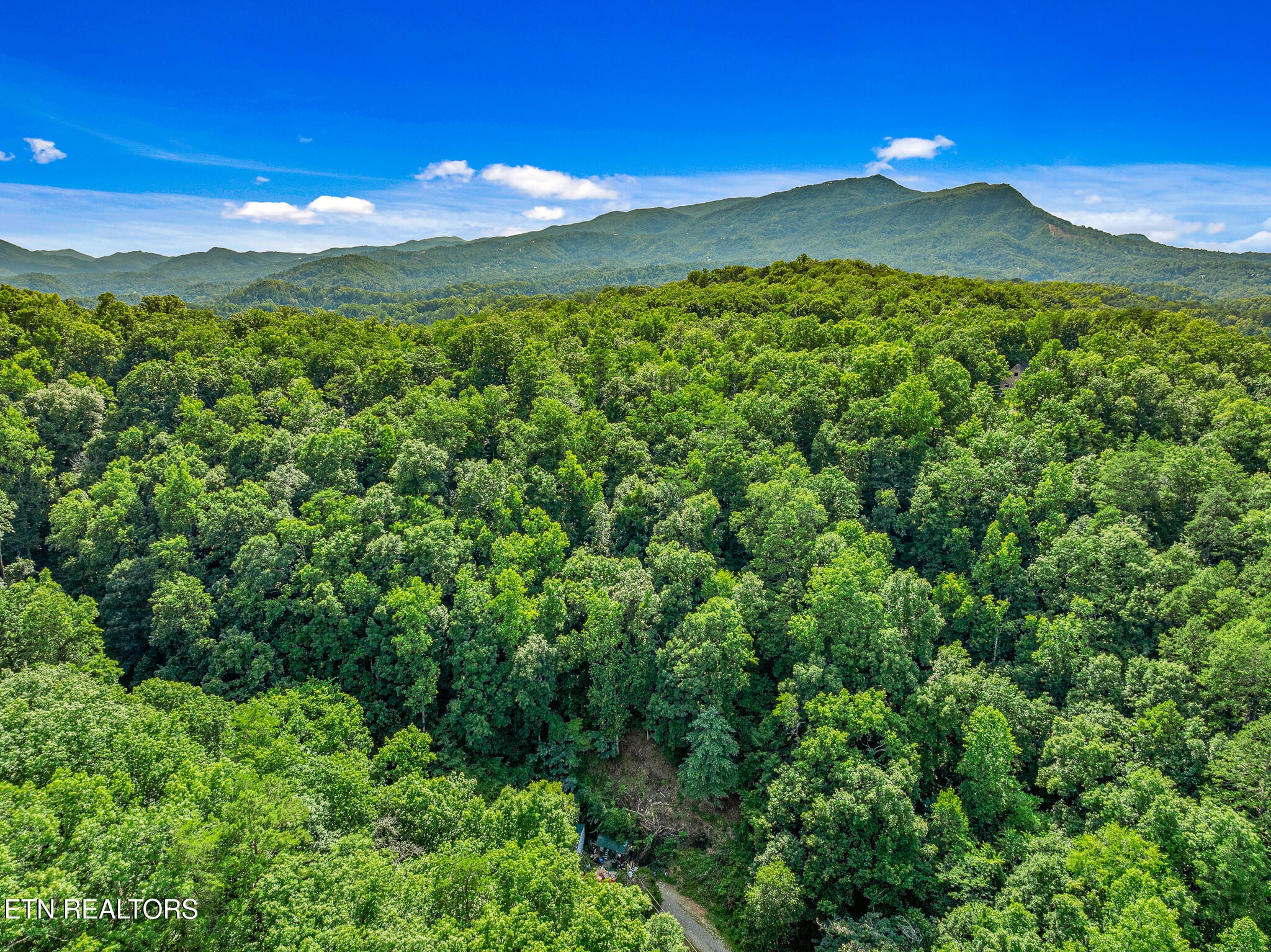 0 Henderson Springs Road Sevierville, TN 37863 - Photo 5 of 14 a view of a city with lush green forest