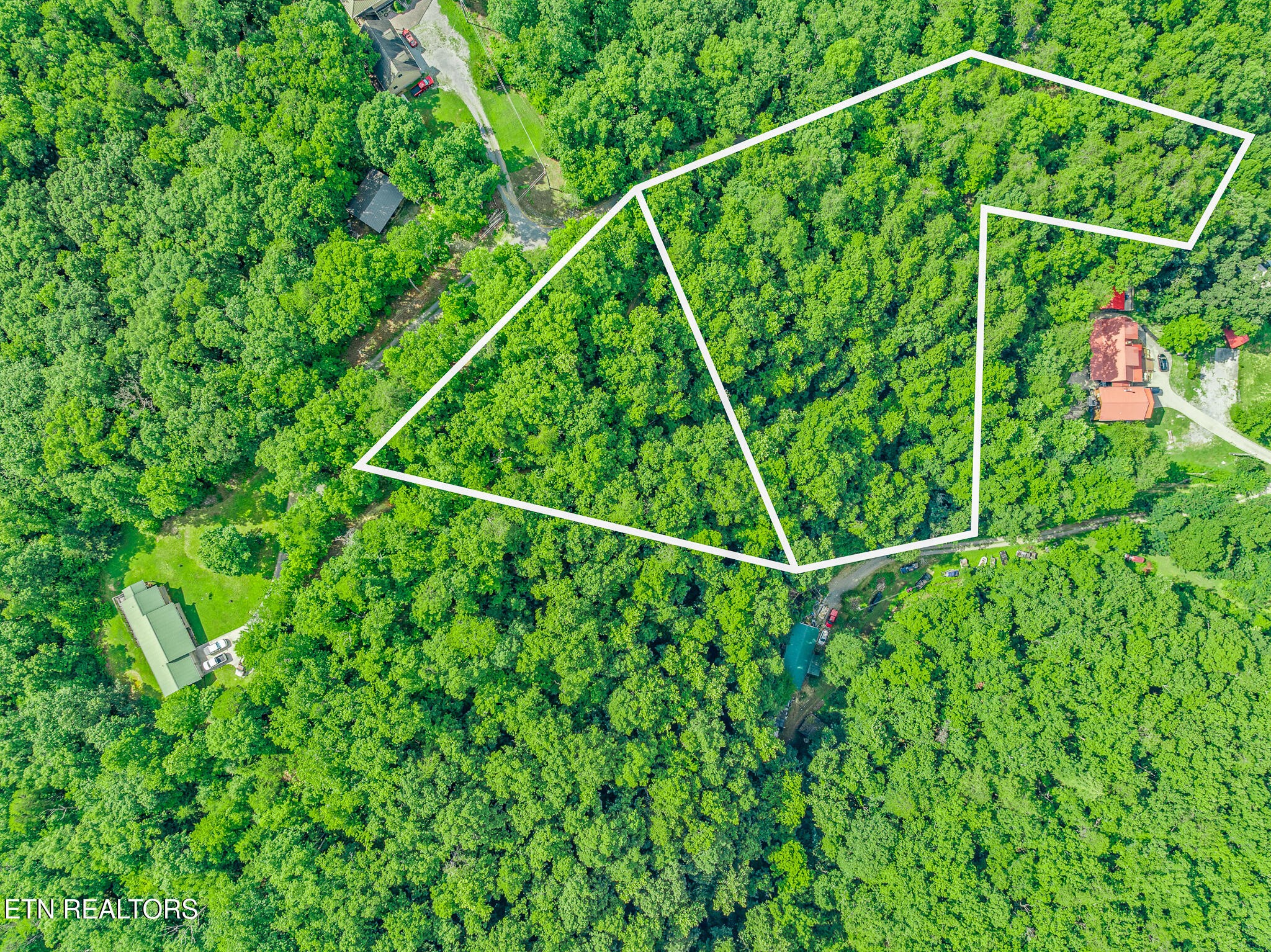 0 Henderson Springs Road Sevierville, TN 37863 - Photo 6 of 14 a view of a yard