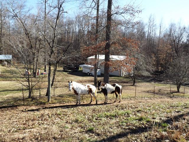 485 High Road Camden, TN 38320 - Photo 16 of 20 a backyard of a house with table and chairs