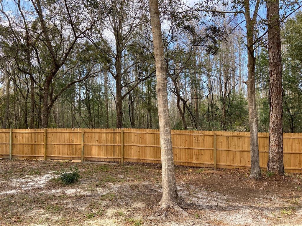 11743 Purdue Street New Port Richey, FL 34654 - Photo 21 of 32