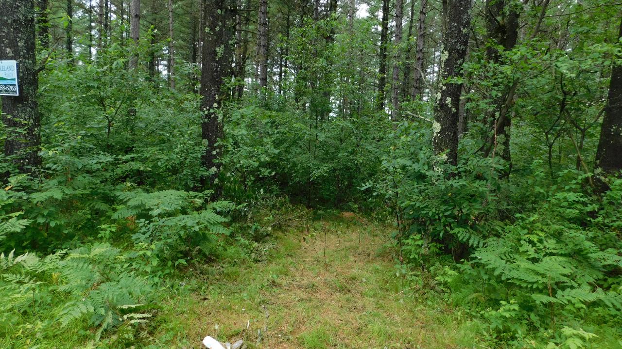 Lot #1 Sunny Point Road Rhinelander, WI 54501 - Photo 7 of 8 Gallery Image 7