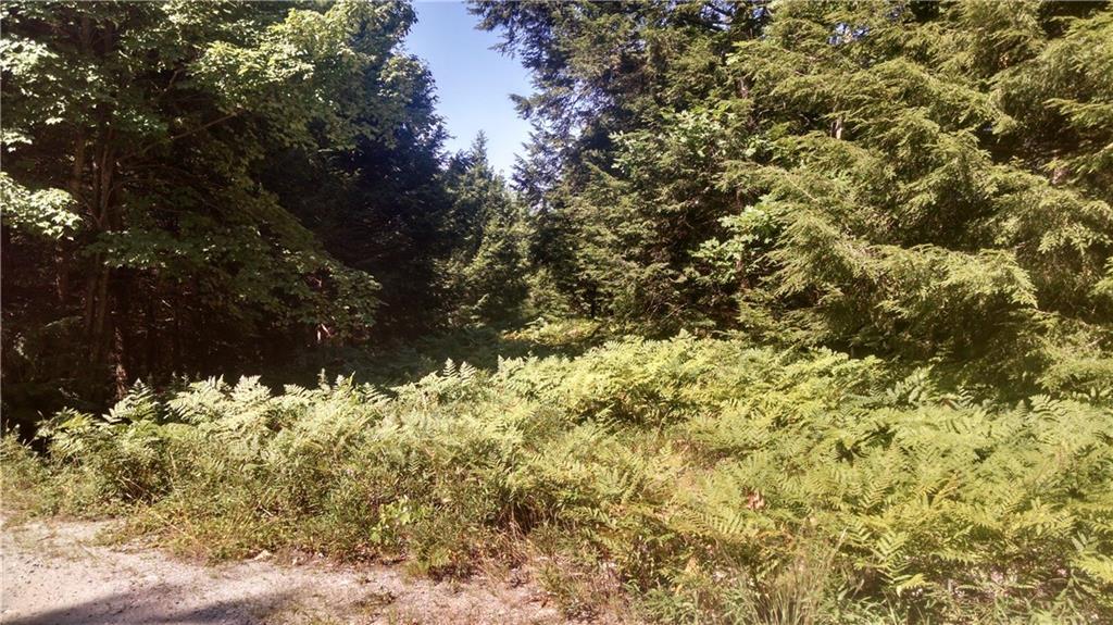 Lot 4 Boundary Road Steep Falls, ME 04085 - Photo 11 of 12 Photo
