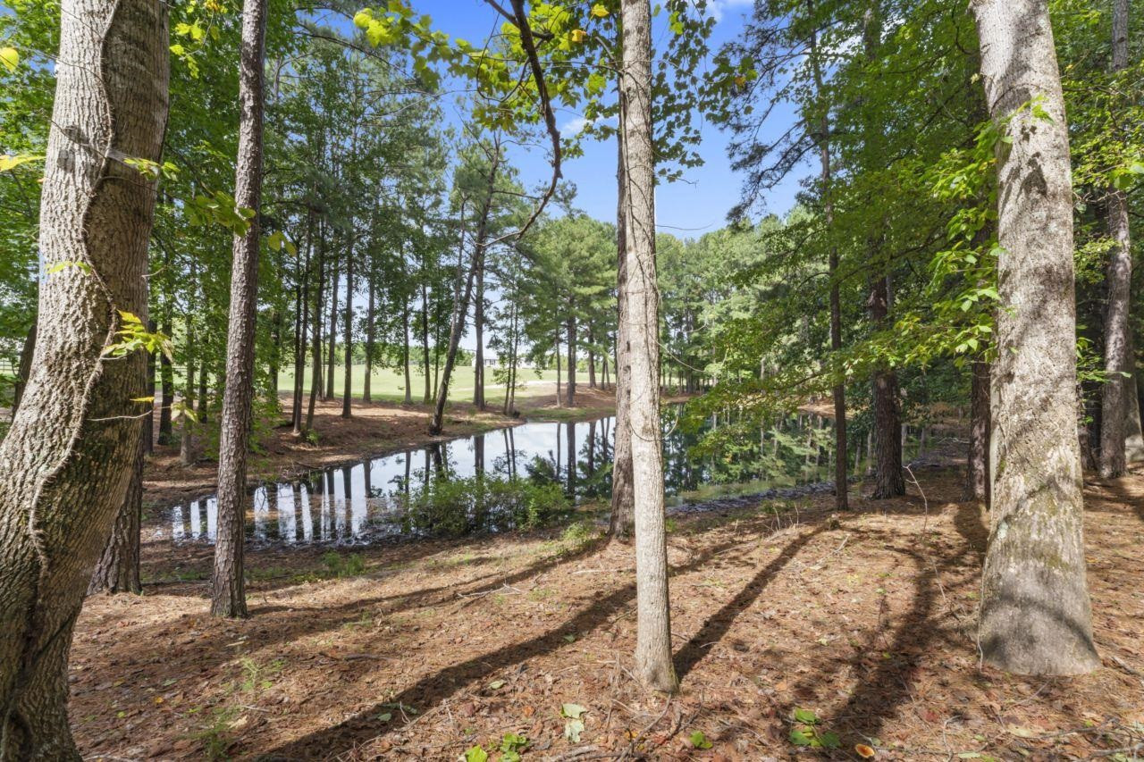 161 Mulchi Road Norlina, NC 27563 - Photo 4 of 38 a view of a yard with plants and trees