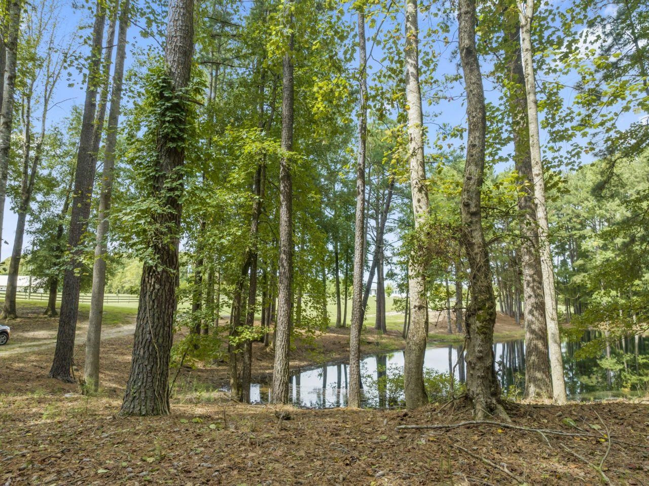 161 Mulchi Road Norlina, NC 27563 - Photo 5 of 38 a view of a yard with plants and trees