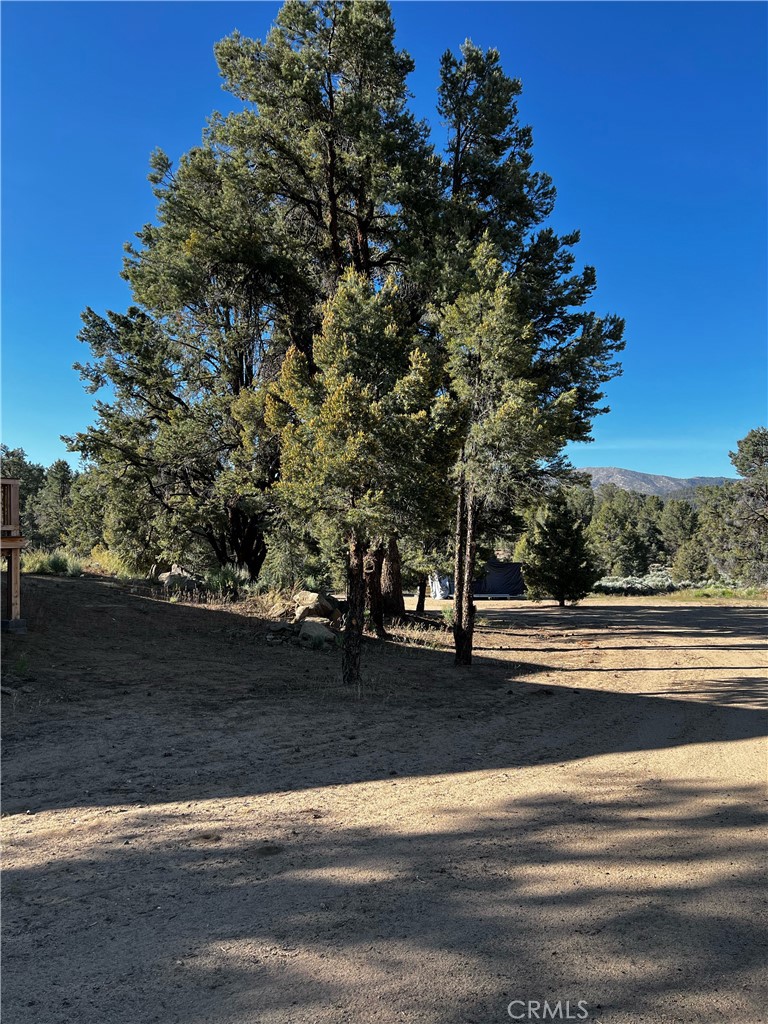 98443 Sierra Meadow Road Inyokern, CA 93527 - Photo 32 of 62 a view of street with trees