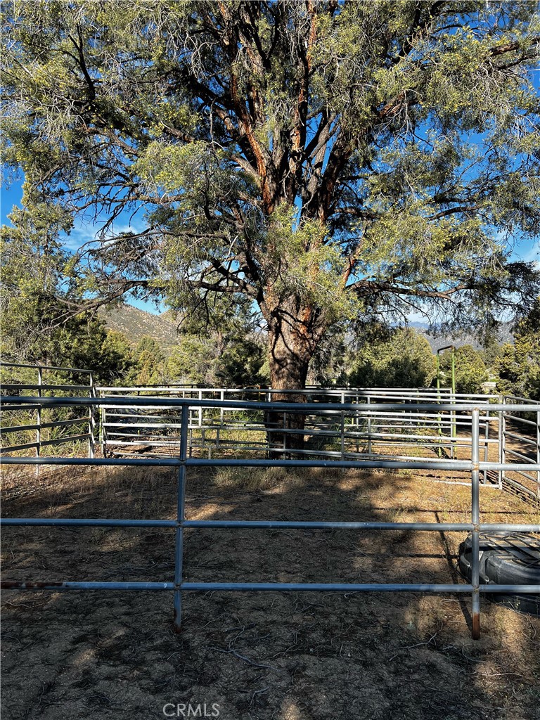 98443 Sierra Meadow Road Inyokern, CA 93527 - Photo 42 of 62 a view of outdoor space and yard